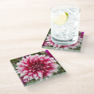 Pink Variegated Dahlia Floral Glasuntersetzer