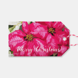 Pink Variegated Poinsettias Holiday Geschenkanhänger