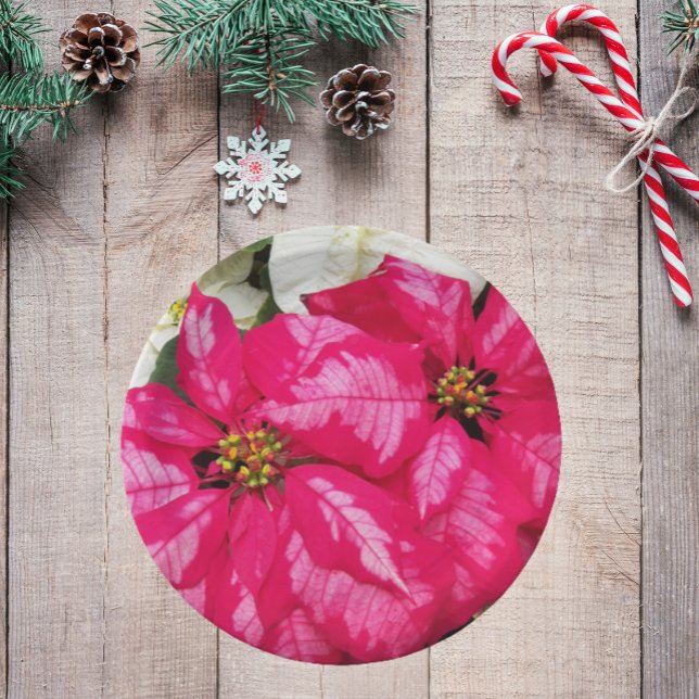 Pink Variegated Poinsettias Holiday Pappteller (In Situ Holiday)
