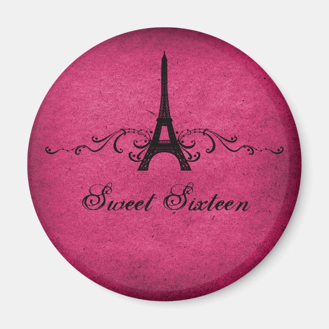Pink Vintag Französisch Blüh Sweet 16 Magnet (Vorne)