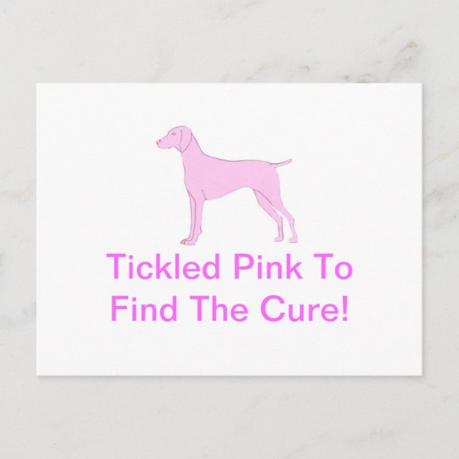 Pink Vizsla Postkarte (Vorderseite)