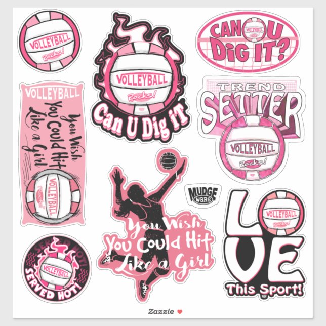 Pink Volleyball Rocks Aufkleber (Blatt)