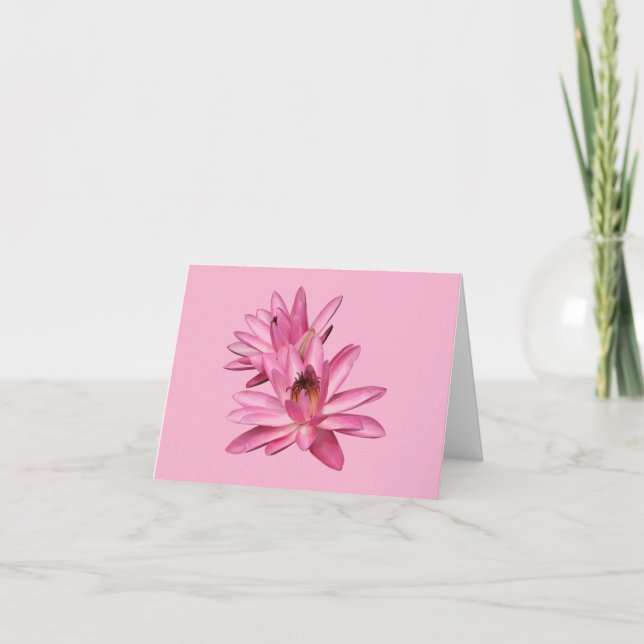 Pink Water Lilies Blank Notizkarte Karte (Vorderseite)