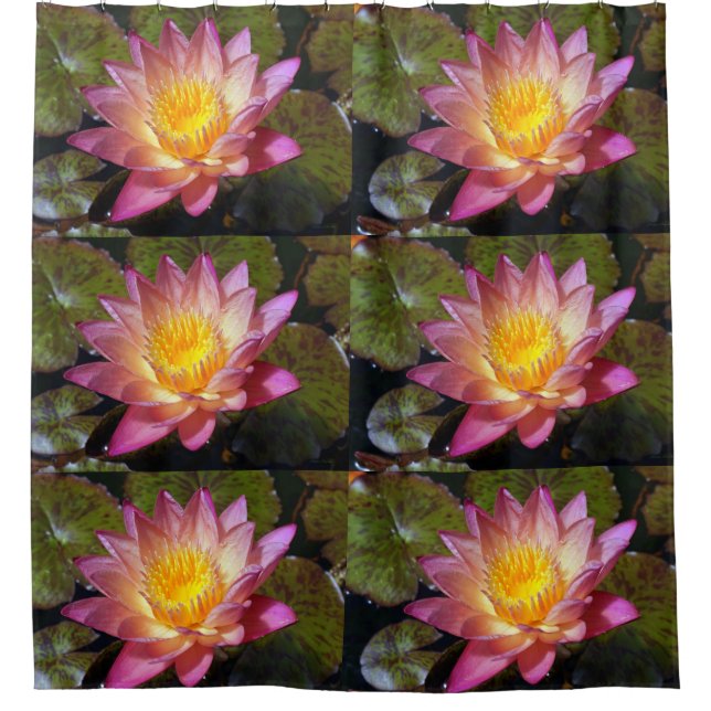 Pink Water Lily Foto Duschvorhang (Vorderseite)