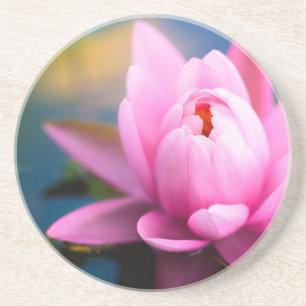 Pink Water Lily Untersetzer