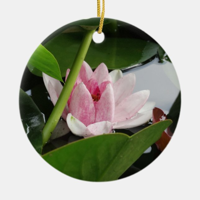 Pink White Lotus Flower Fotografie Keramik Ornament (Vorne)