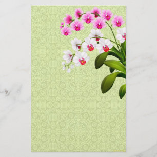 Pink White Phalaenopsis Orchid Blume Stationierung Briefpapier