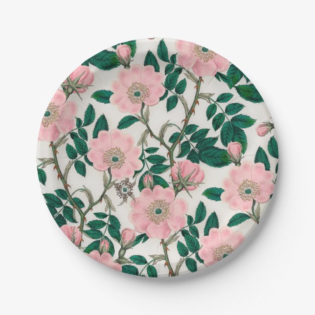 Pink Wild Rose Blume & Green Blätter Muster Pappteller (Vorderseite)