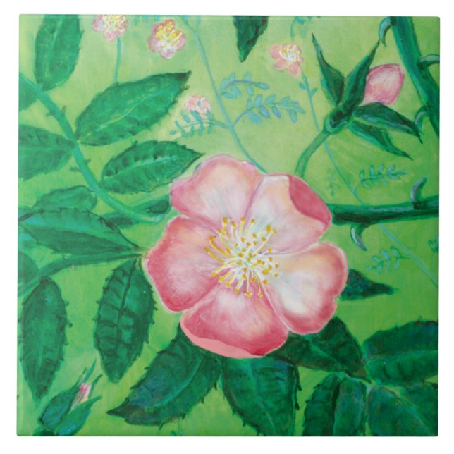 Pink Wild Rose Illustration Fliese (Vorderseite)