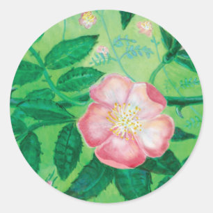 Pink Wild Rose Illustration Runder Aufkleber