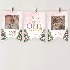 Pink Winter Onederland 1st Birthday Monthly Photo Wimpelkette