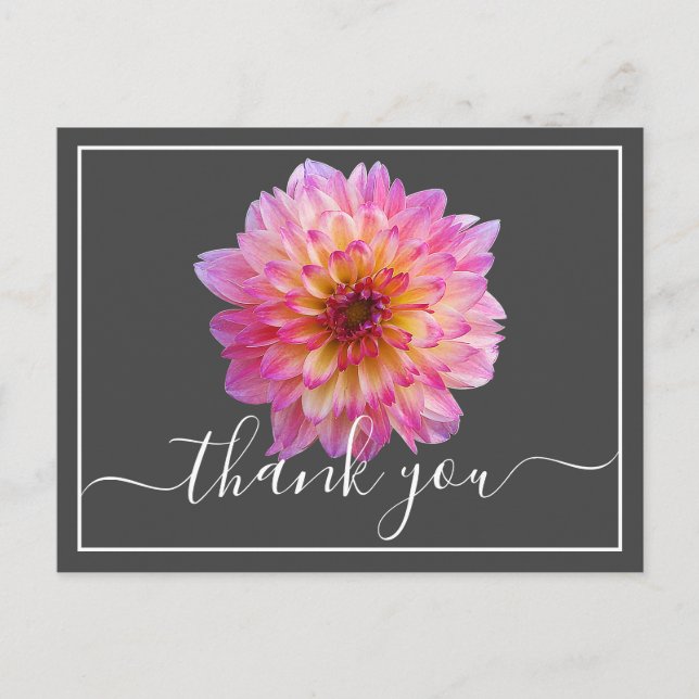 Pink Yellow Dahlia Grau Hintergrund Danke Postkarte (Vorderseite)