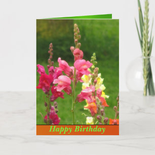 Pink Yellow Snapdragon Blume Happy Birthday Karte
