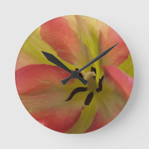 Pink & Yellow Tulip  Runde Wanduhr