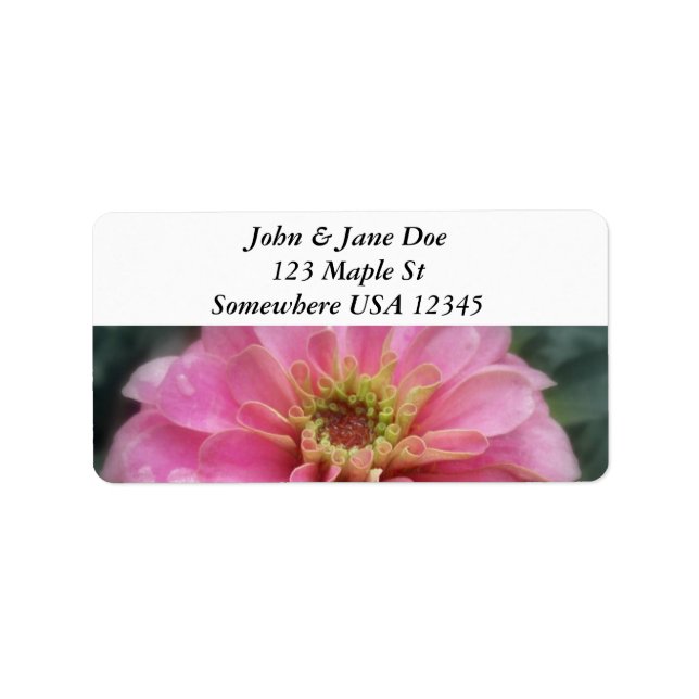 Pink-Zinnia-Blume Adressaufkleber (Vorne)
