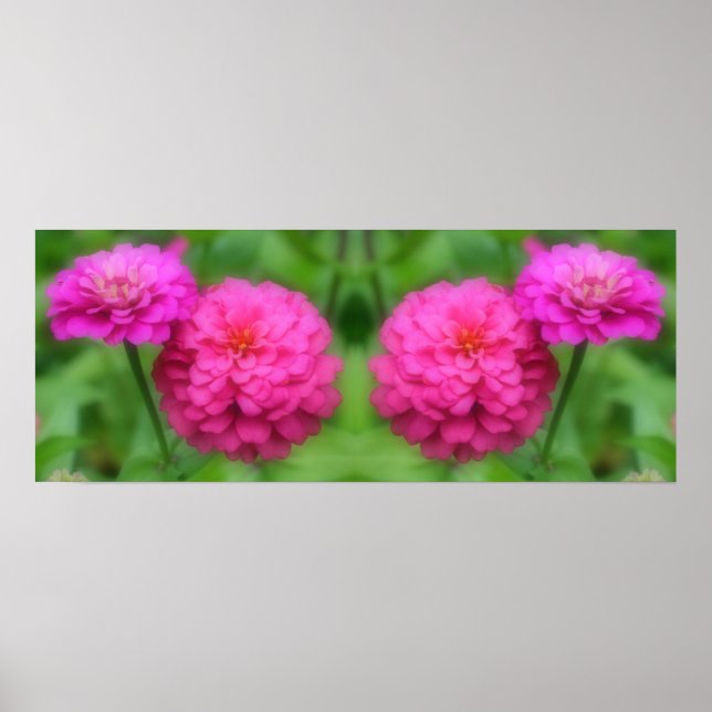 Pink Zinnia Blume Mirror Abstrakt Poster (Vorne)