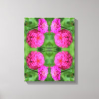 Pink Zinnia Blume Pair Nah Abstrakt