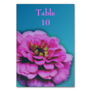 Pink Zinnia Blume Wedding Tischnummer