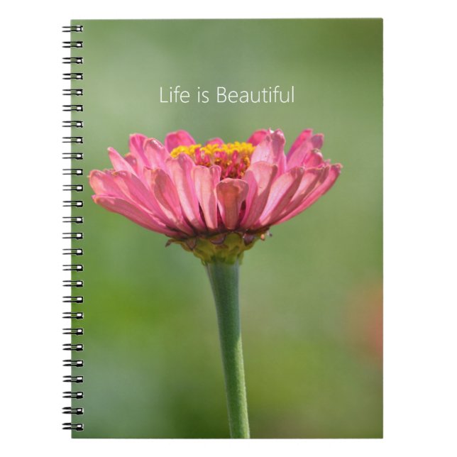 Pink Zinnia Flower (my photography) Notizblock (Vorderseite)