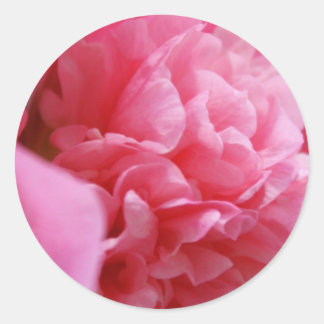 Pinkalicious Stickers