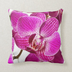 Pinkdendrobium-Orchidee - Orchideen-Hintergrund Kissen