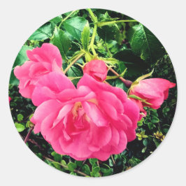 Pinke Blumen Runder Aufkleber