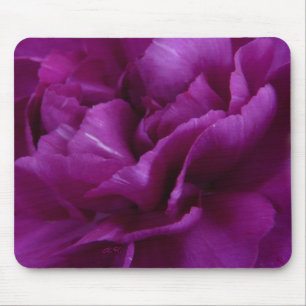 Pinkfarbenes Gartennelke mousepad