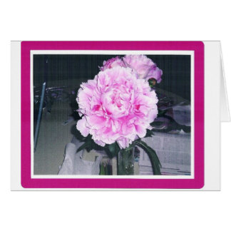 PINKISH PFINGSTROSE