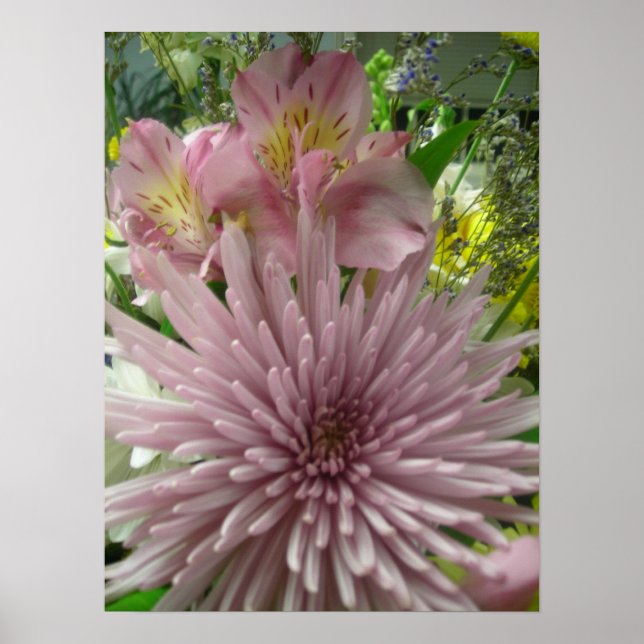 Pinkly Pastel Poster (Vorne)