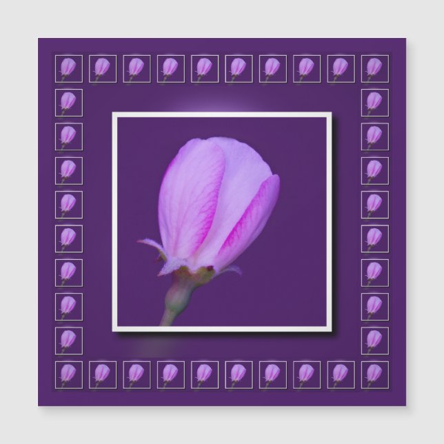 Pink'n Lila Spring Blossom Magnetic Card Magnetkarte (Vorderseite)