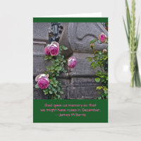 PINKROSEN ZWISCHEN ZWEI PILLAREN/GOTT GAB US-ROSE