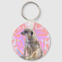Pinky Meerkat
