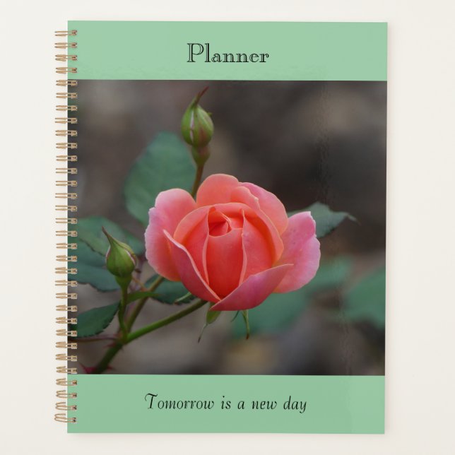 Pinky Rosebud Planer (Vorderseite)
