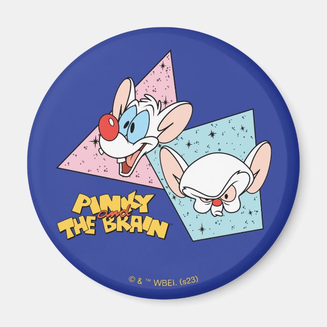 Pinky und das Gehirn | Retro-Zeichengrafiken Magnet (Vorne)