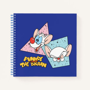 Pinky und das Gehirn   Retro-Zeichengrafiken Notizbuch