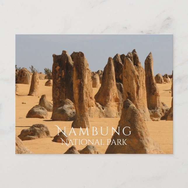Pinnacles Wüste Nambung NP, Western Australien Postkarte (Vorderseite)