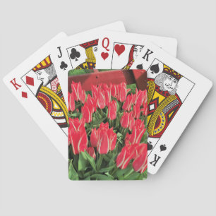 Pinocchio Tulips Spielkarten