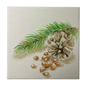 Pinõn Nuts Pinecone New Mexico Fliese
