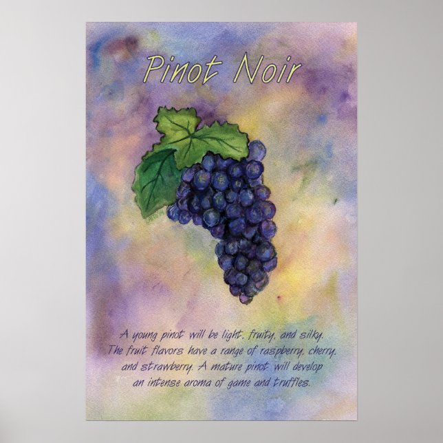 Pinot Noir Rote Weinkultur und Erde Poster (Vorne)