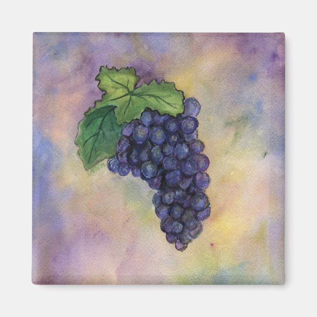 Pinot Noir Weinkultur und Erde Magnet (Vorne)