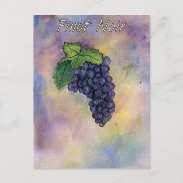 Pinot Noir Weinkultur und Erde Postkarte (Vorderseite)