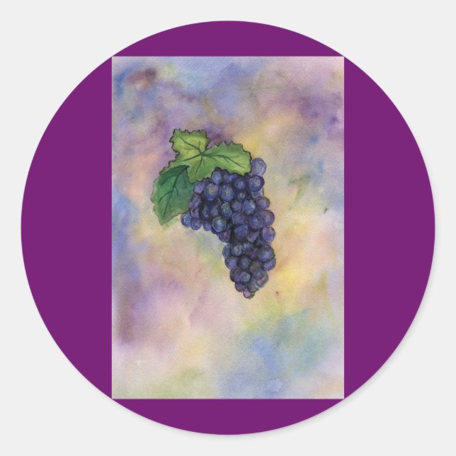 Pinot Noir Weintrauben Sticker (Vorderseite)