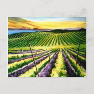 Pinot Postcard Land Postkarte