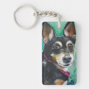 Pinscher miniature