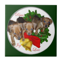 Pinscher Puppys Weihnachten Fliese