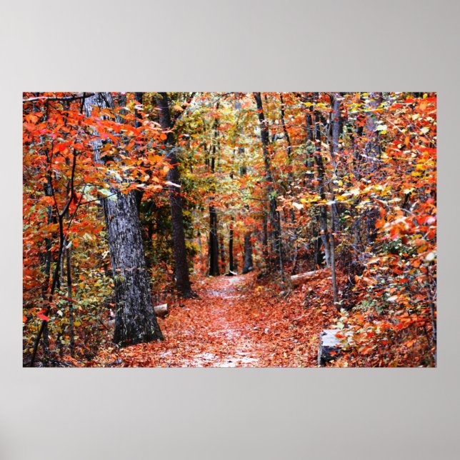 Pinselstriche Forest Autumn Trail Aquarell Print Poster (Vorne)