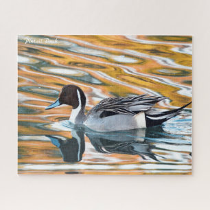 Pintail Duck Jigsaw Puzzle