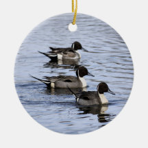 Pintail Duck Trio Ornament