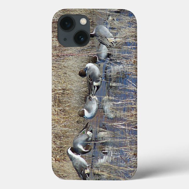 Pintail Ducks iPhone 6 Fall Case-Mate iPhone Hülle (Rückseite)