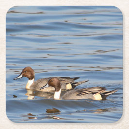 Pintail Encks Paper Untersetzer